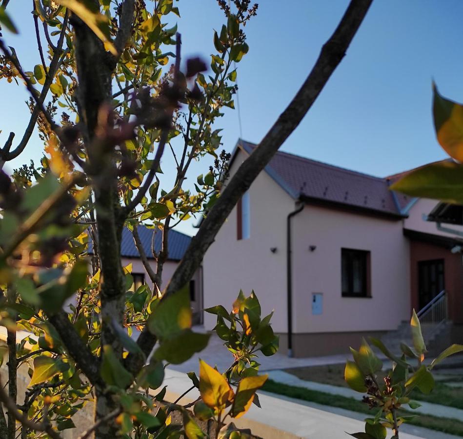 Agroturizam Opg Jakopovic Caglin Buitenkant foto